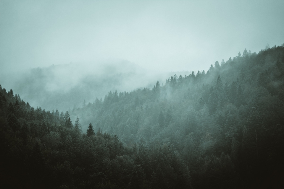 Image background